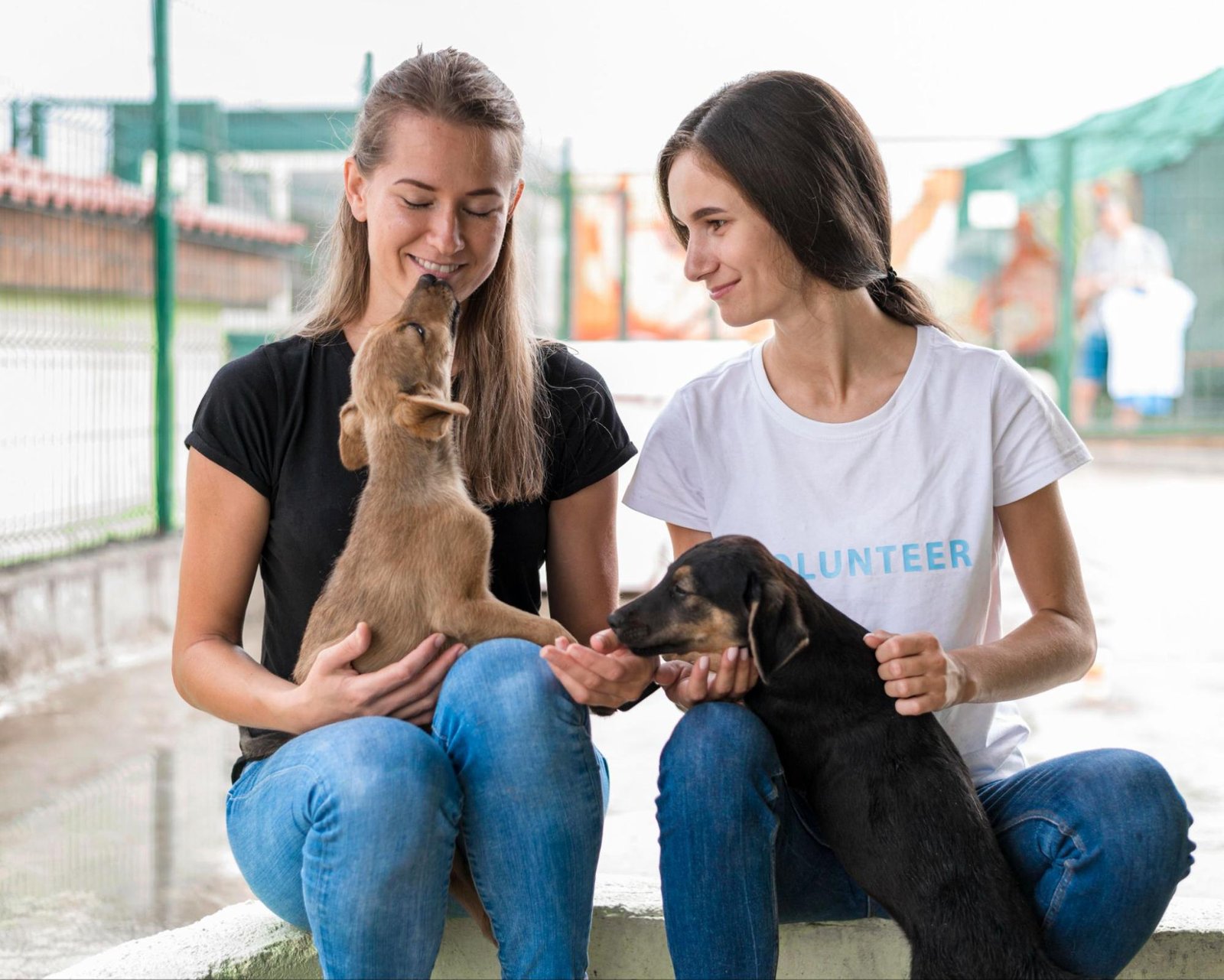 Dog Foster Care in Philadelphia, PA Dog Foster Care in Philadelphia, PA
